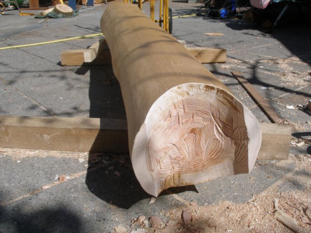 p4230014.jpg