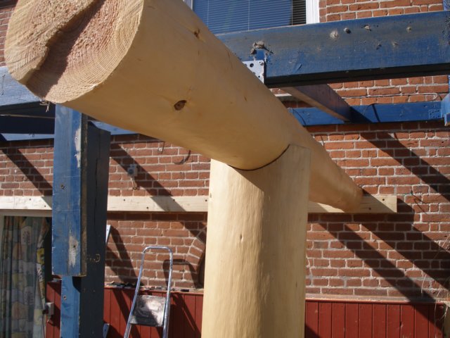 p4230015.jpg